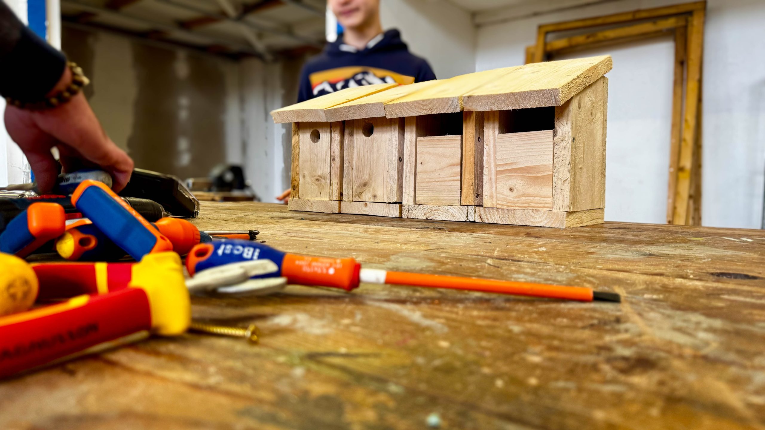 es collégiens fabriquent des nichoirs pour le quartier de la Bourgogne à Tourcoing